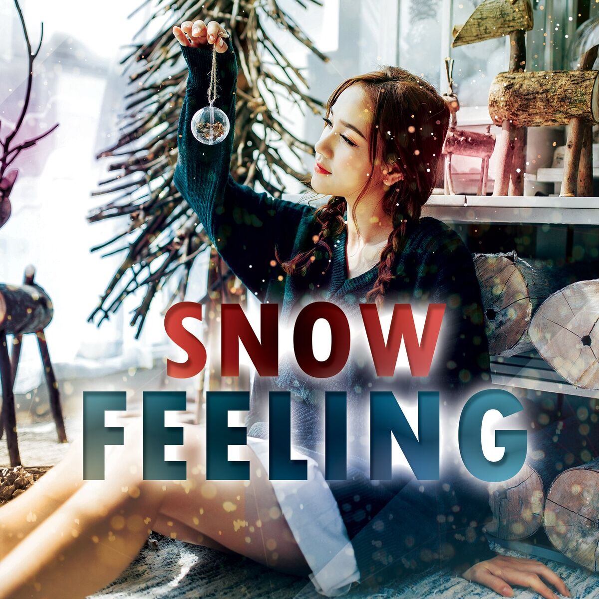 Album cover of Snow Feeling