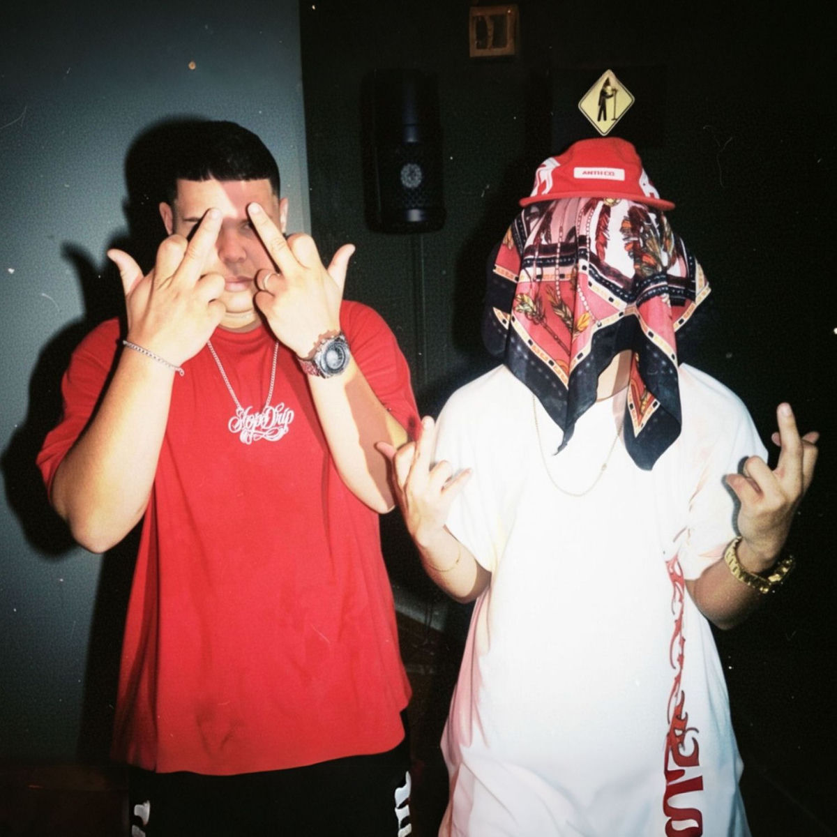 Album cover of PREDESTINADO