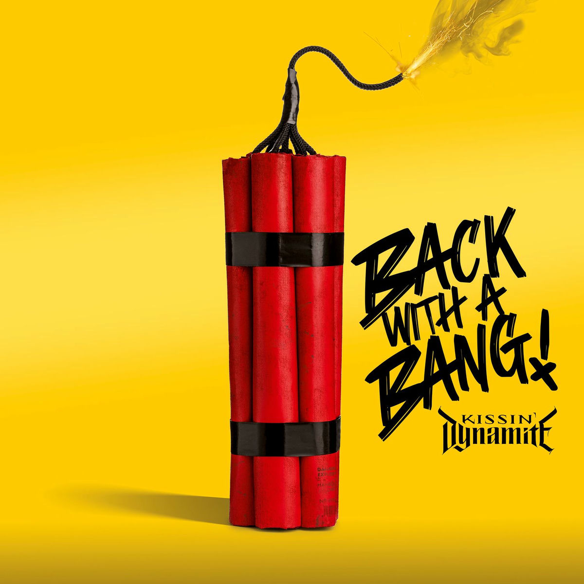 Album cover of Back With A Bang