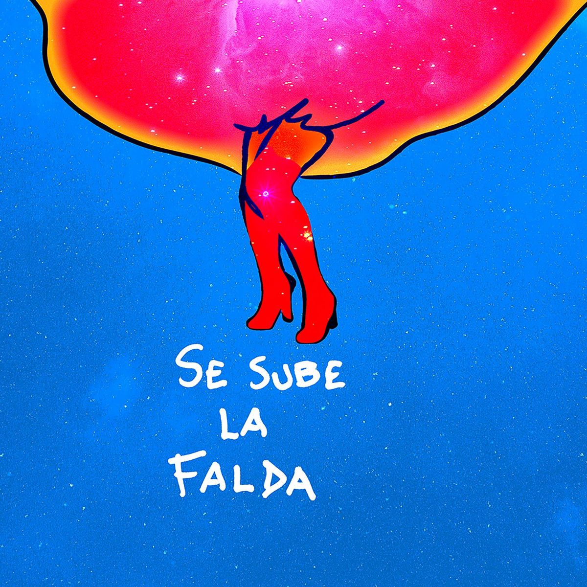 Album cover of se sube la falda