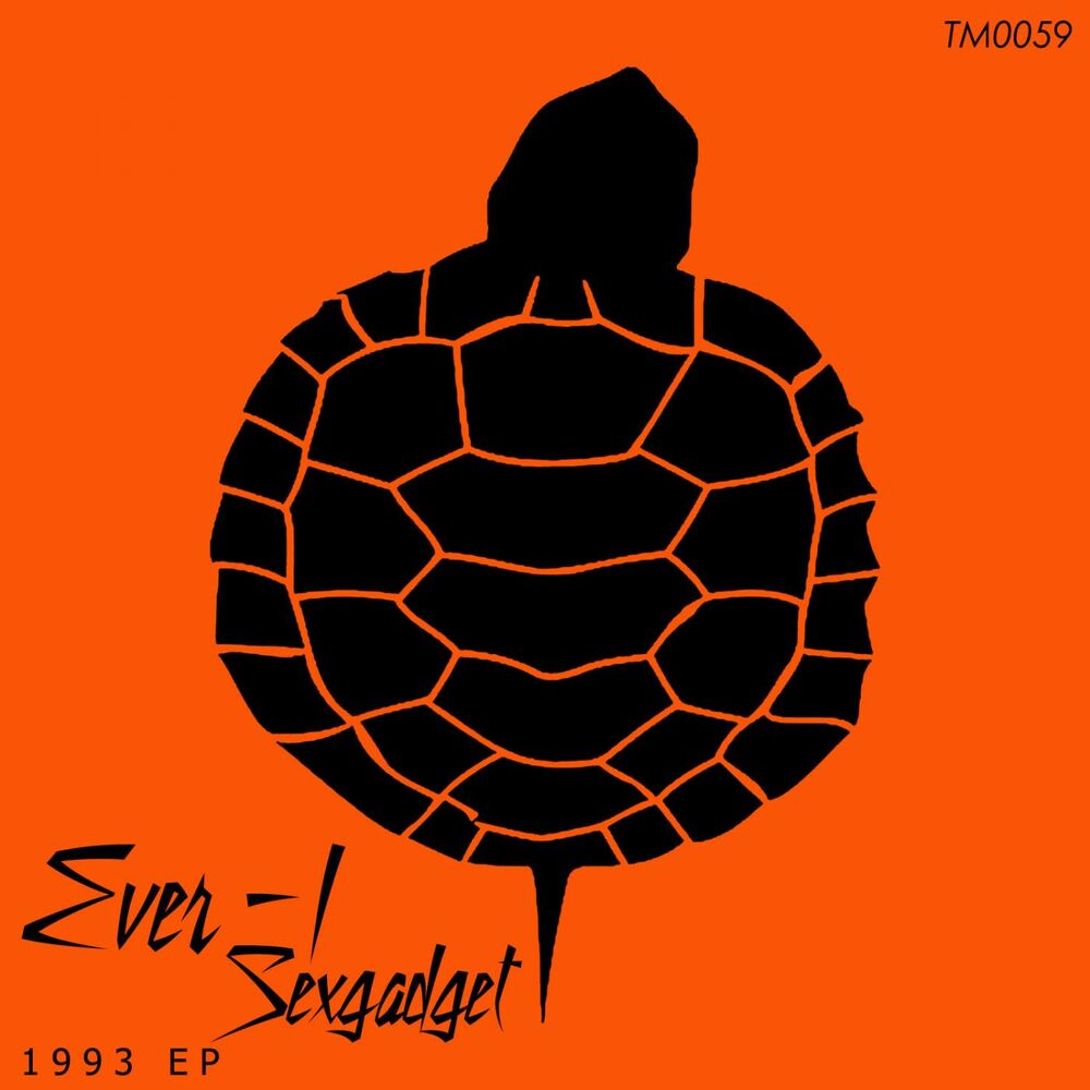 Picture of 1993 EP