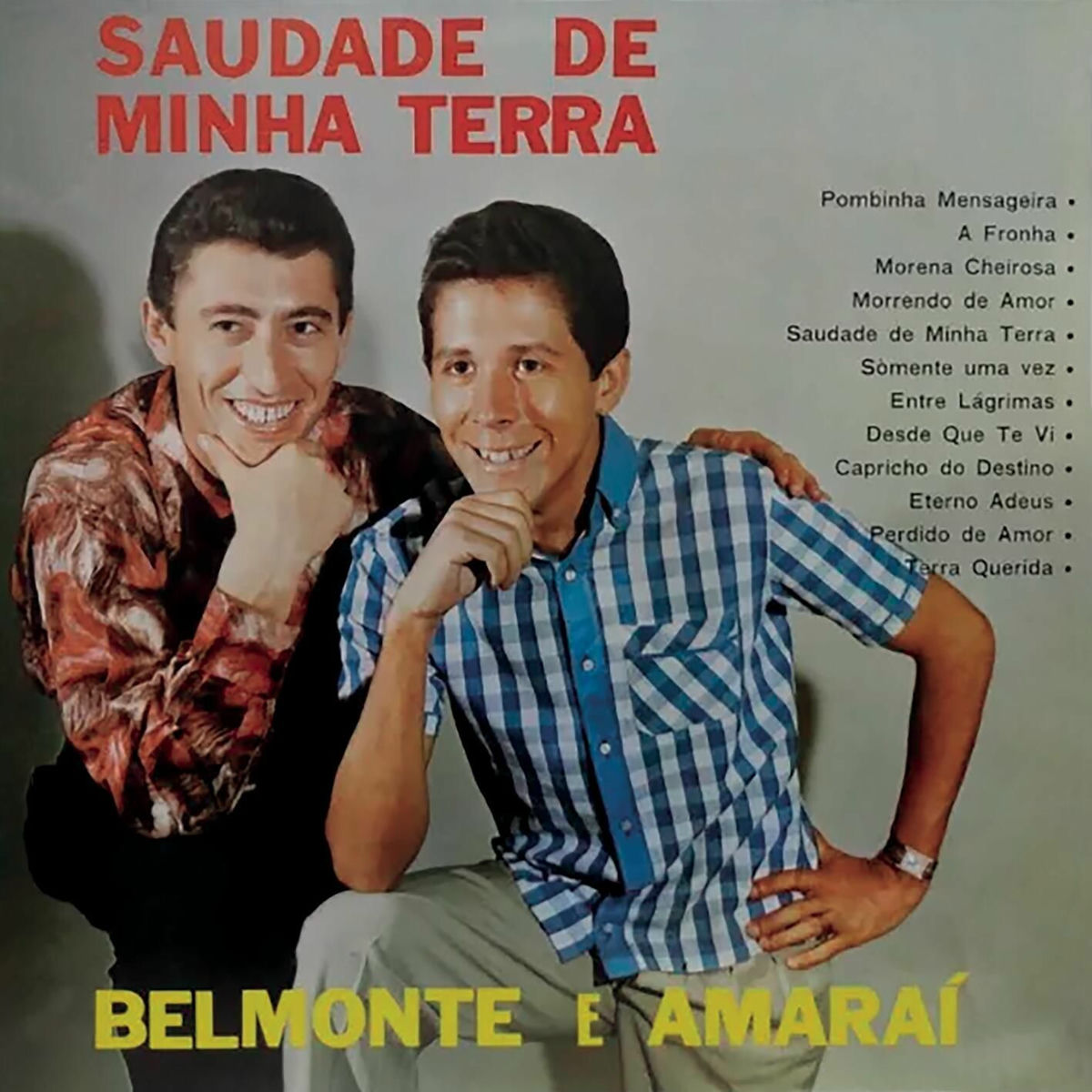 Album cover of Saudade da Minha Terra