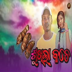 Cover of Sukhila Kache
