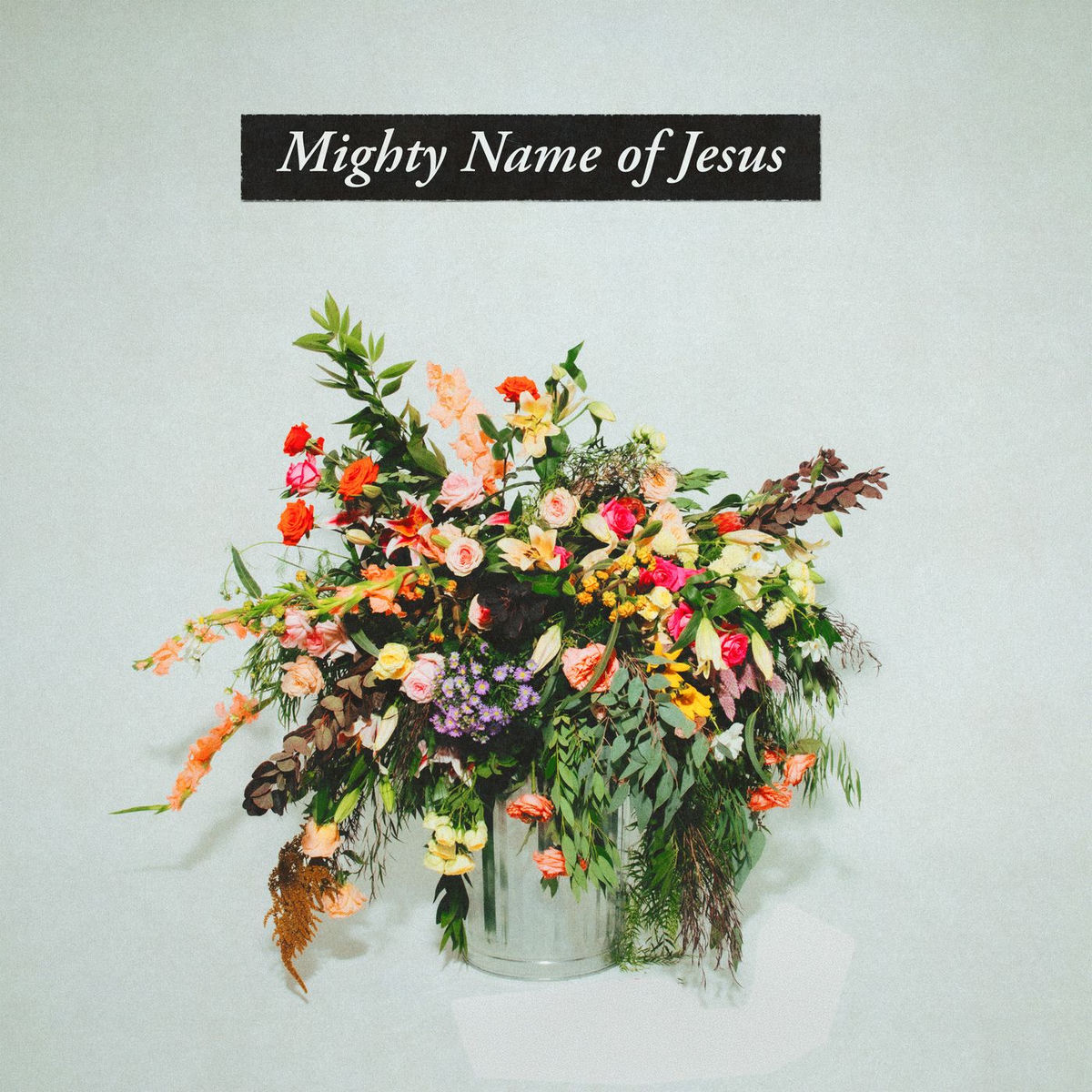 Album cover of Mighty Name of Jesus (Live)