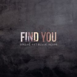 Cover of Find You