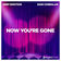 Now You're Gone by Deep Emotion album cover