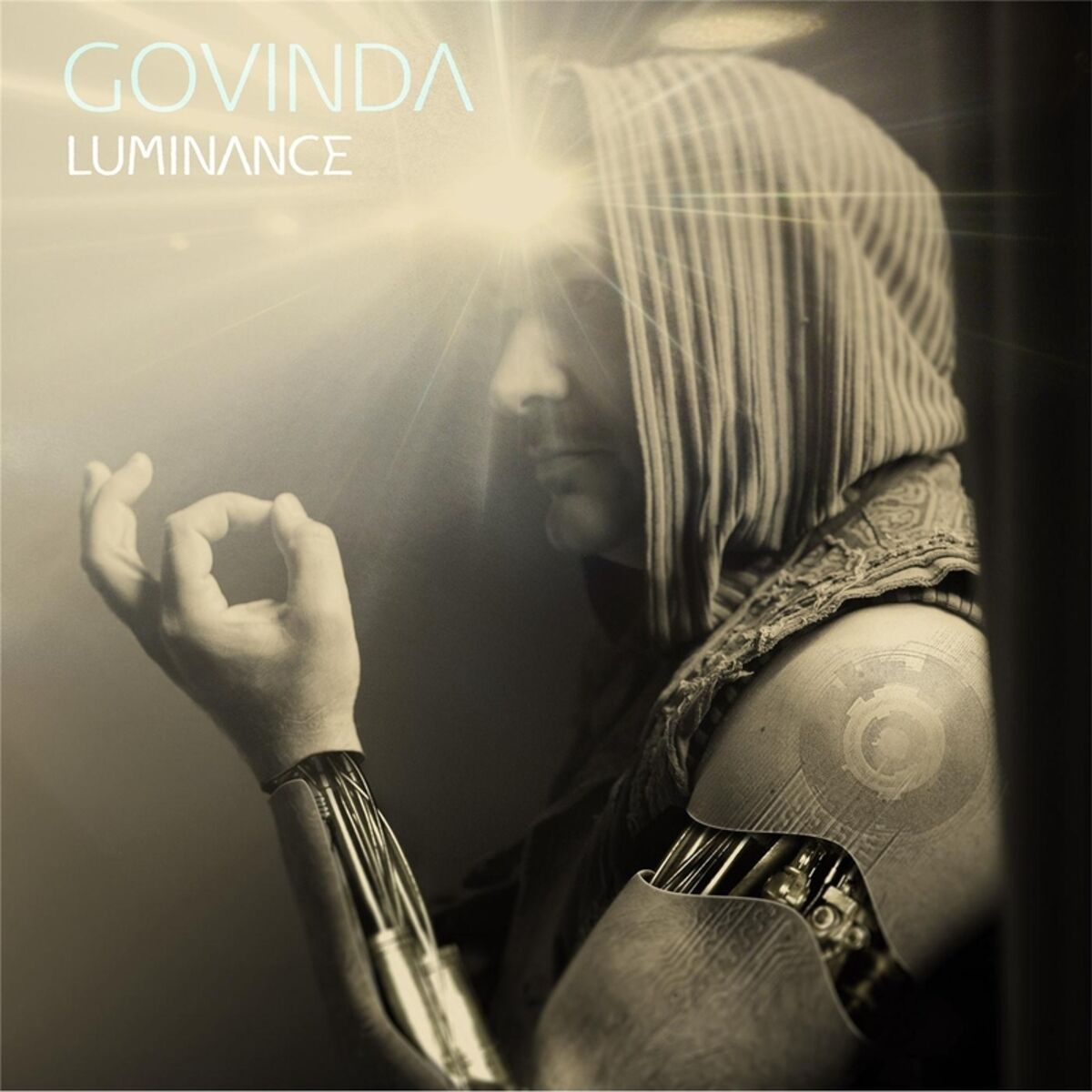 Album cover of Levitated Dancer