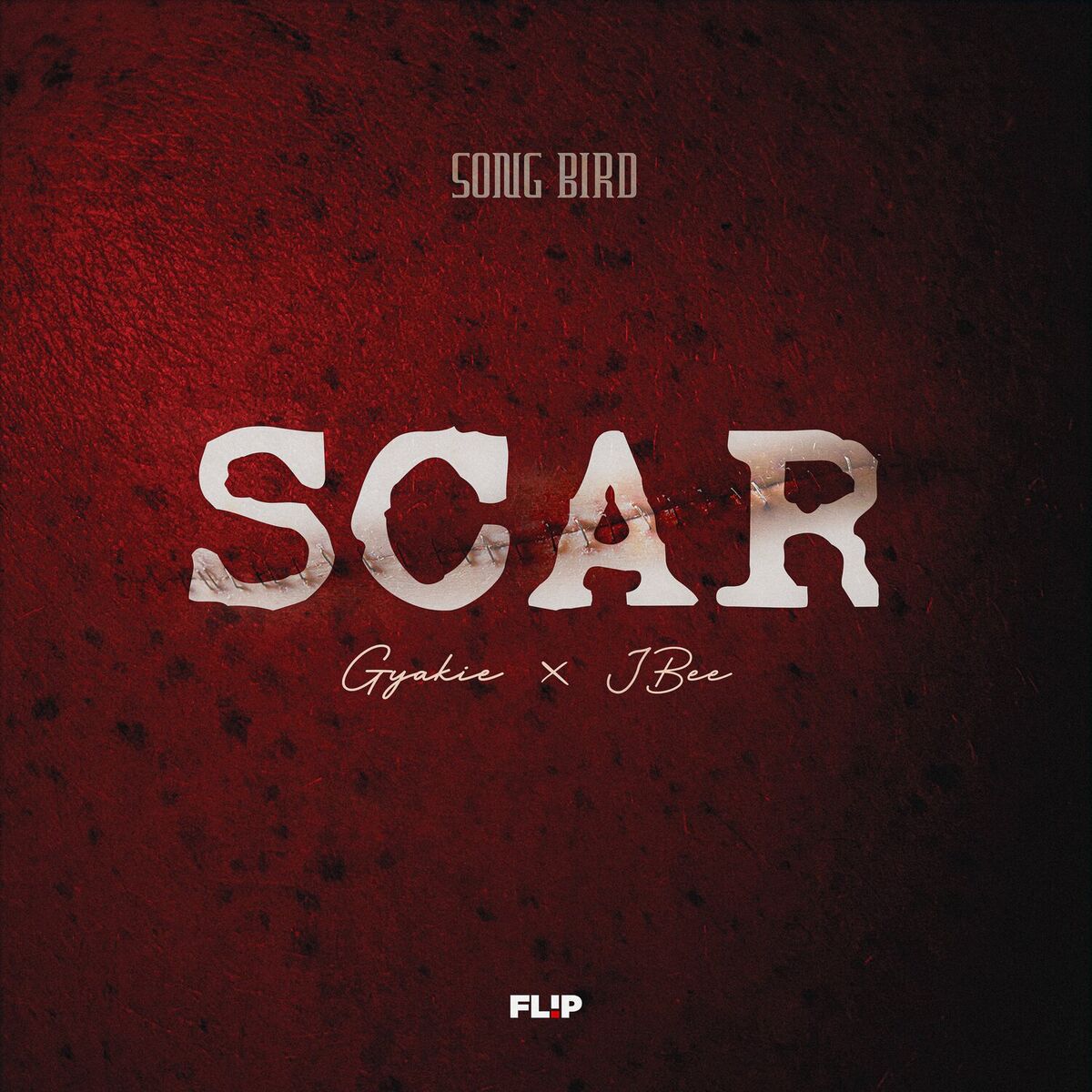 Album cover of SCAR