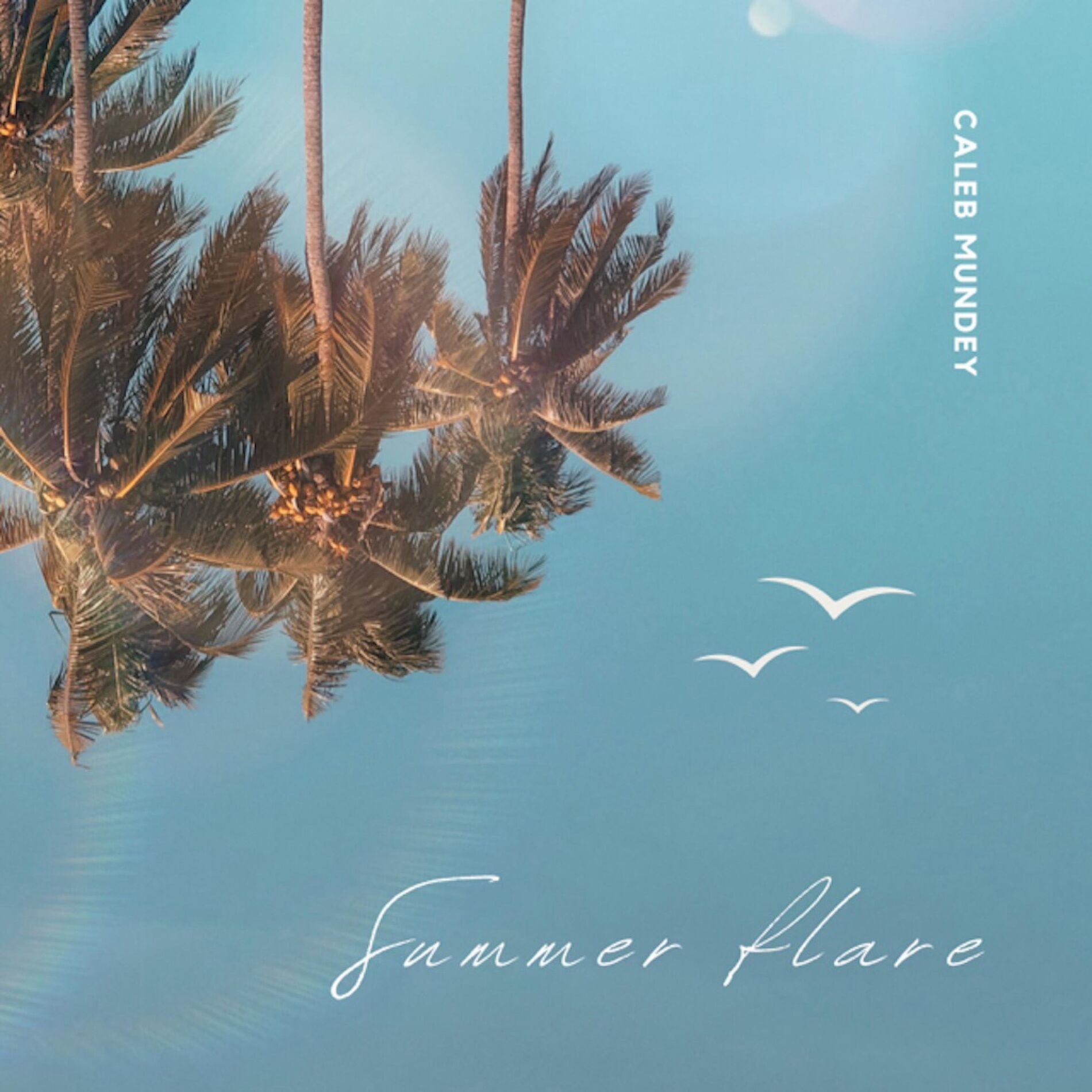 Album cover of Summer Flare (mi corazón)