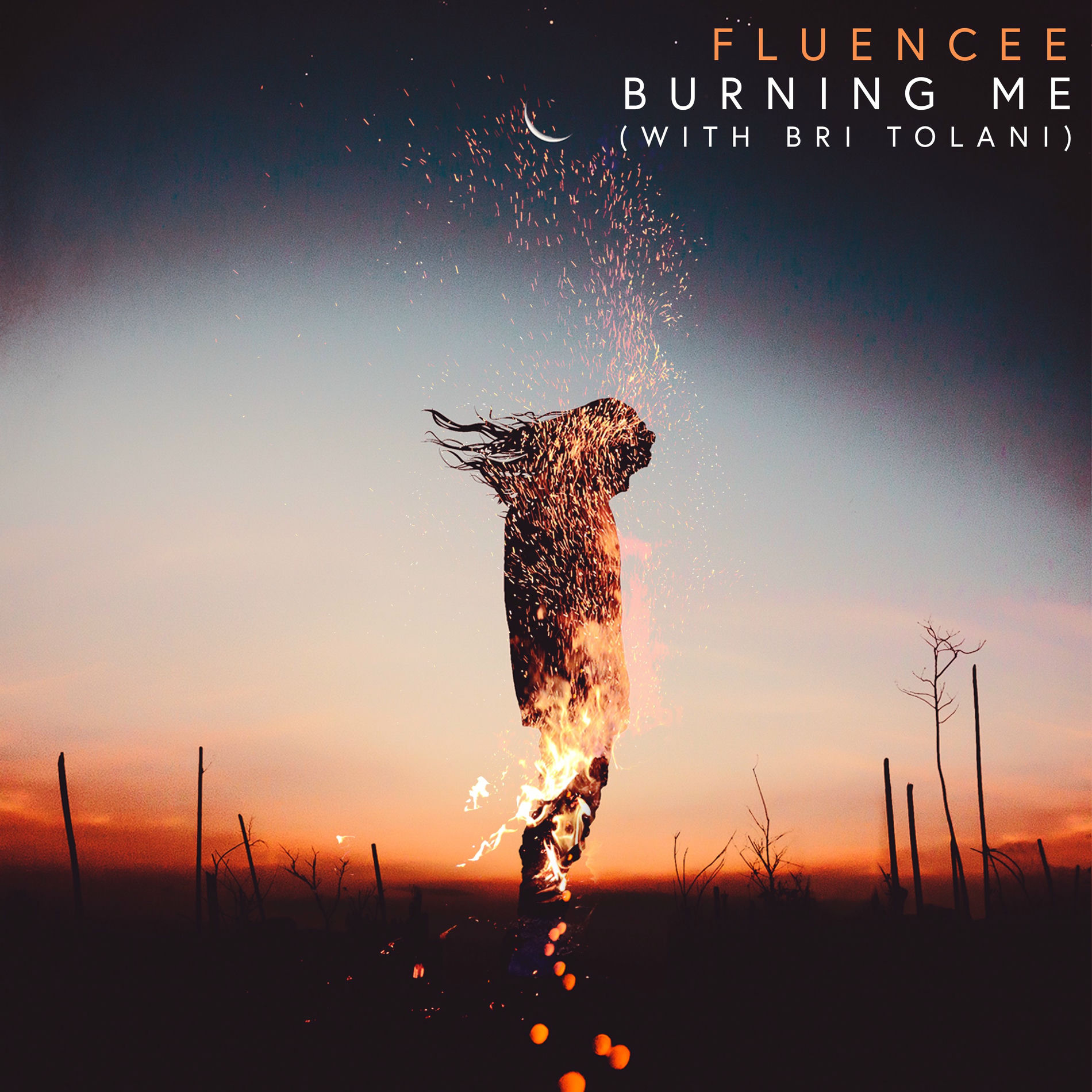 Album cover of Burning Me