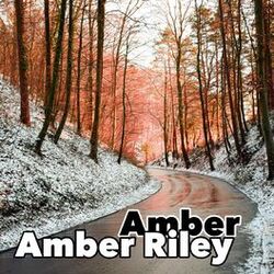Cover of Amber