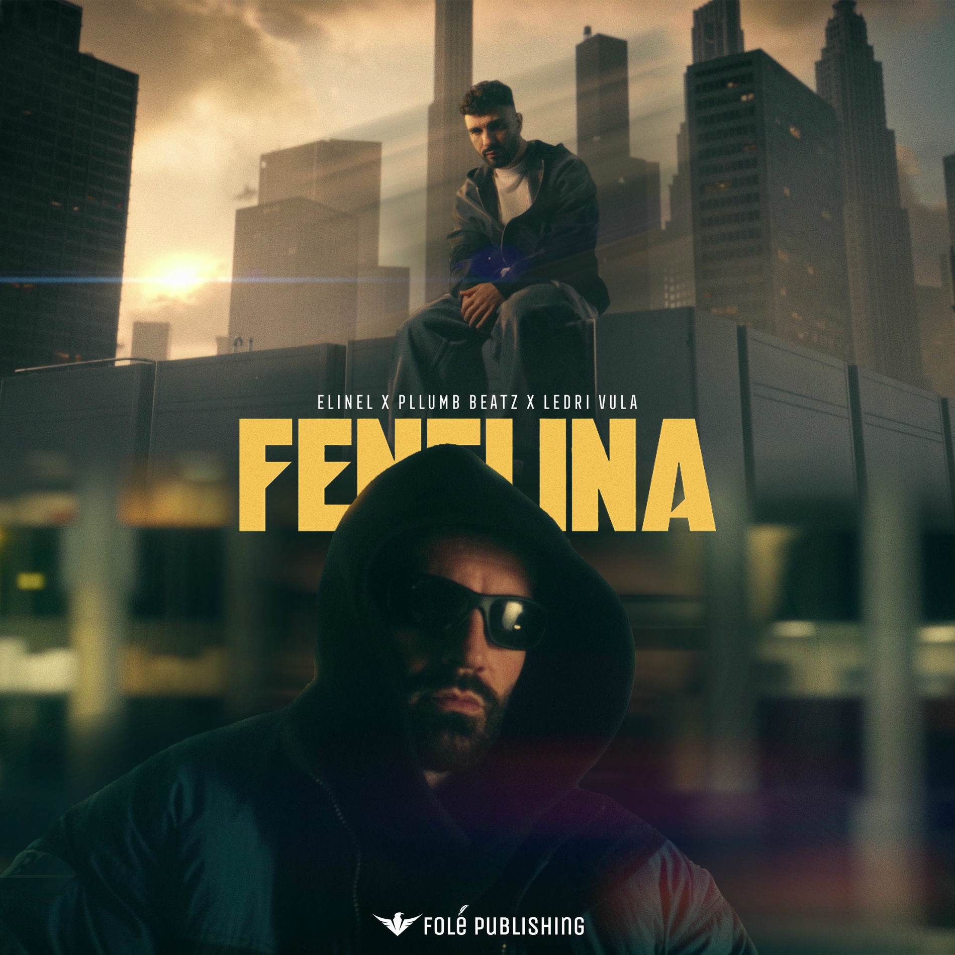 Album cover of FENELINA
