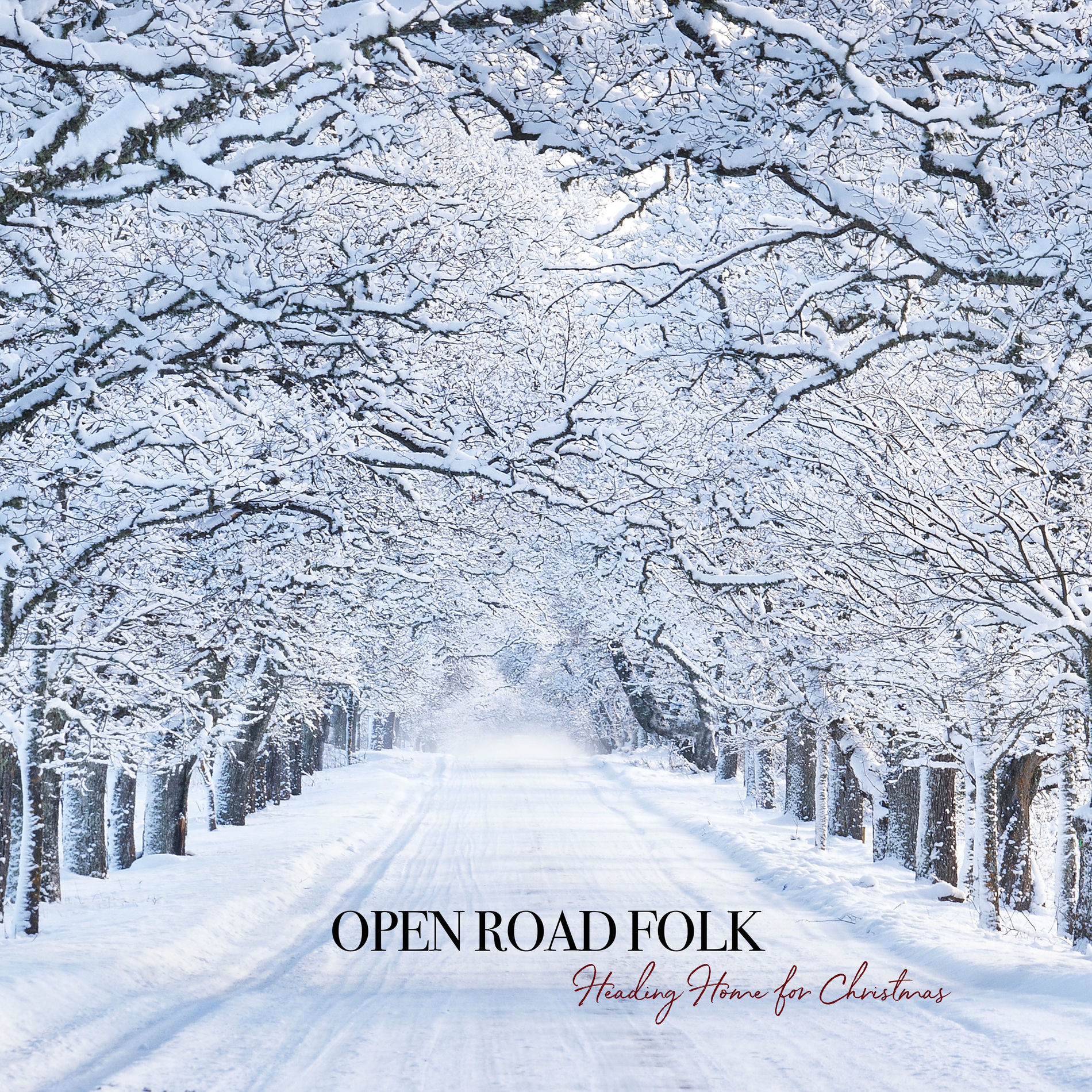 Album cover of Deck the Halls