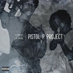 Cover of Pistol P Project