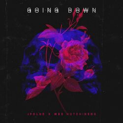 Cover of Going Down