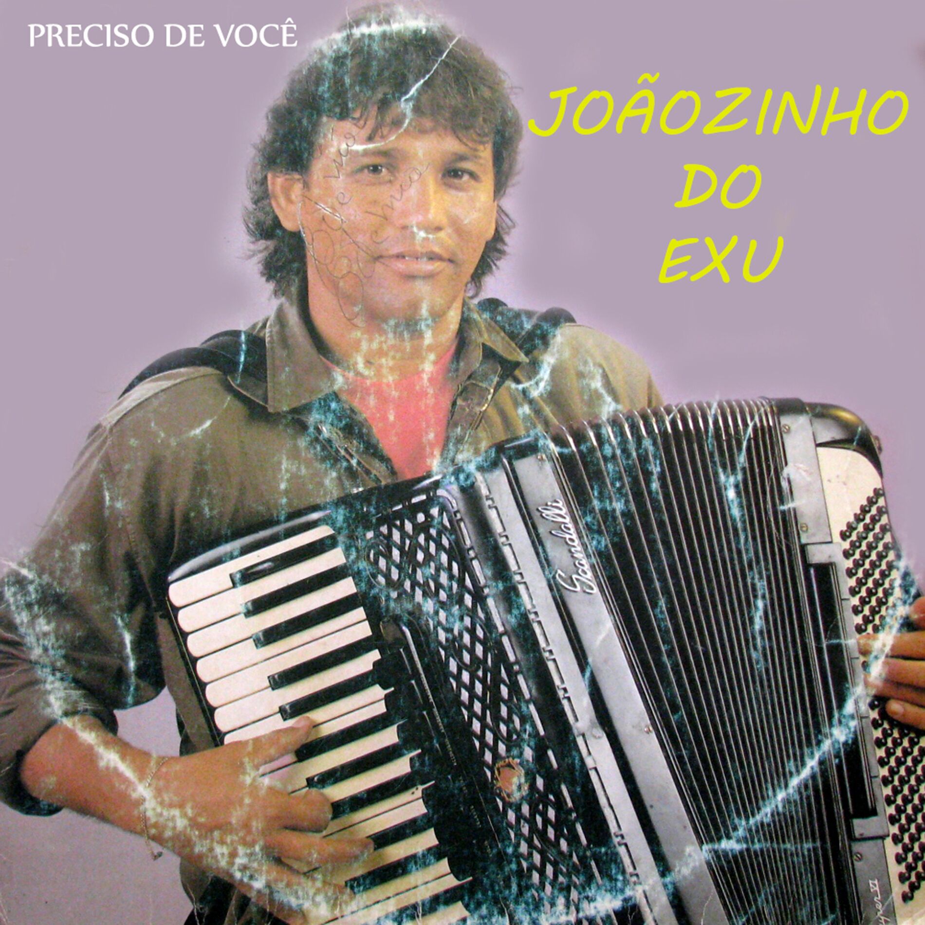 Album cover of Tem Que Ter Forró