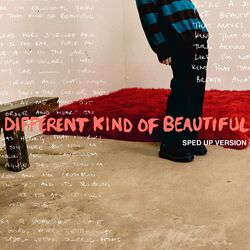 Cover of Different Kind Of Beautiful (Sped Up Version)