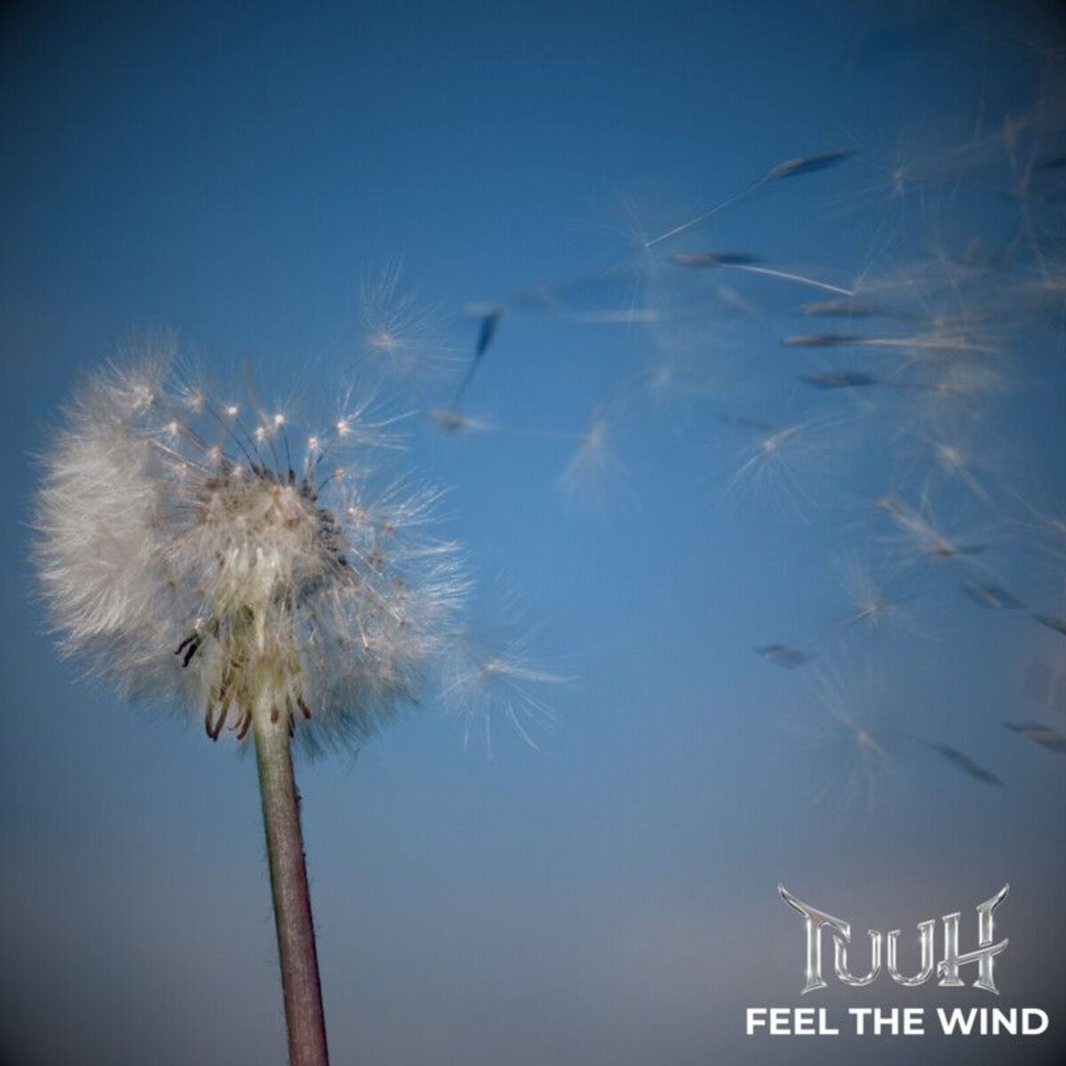 Album cover of Feel The Wind