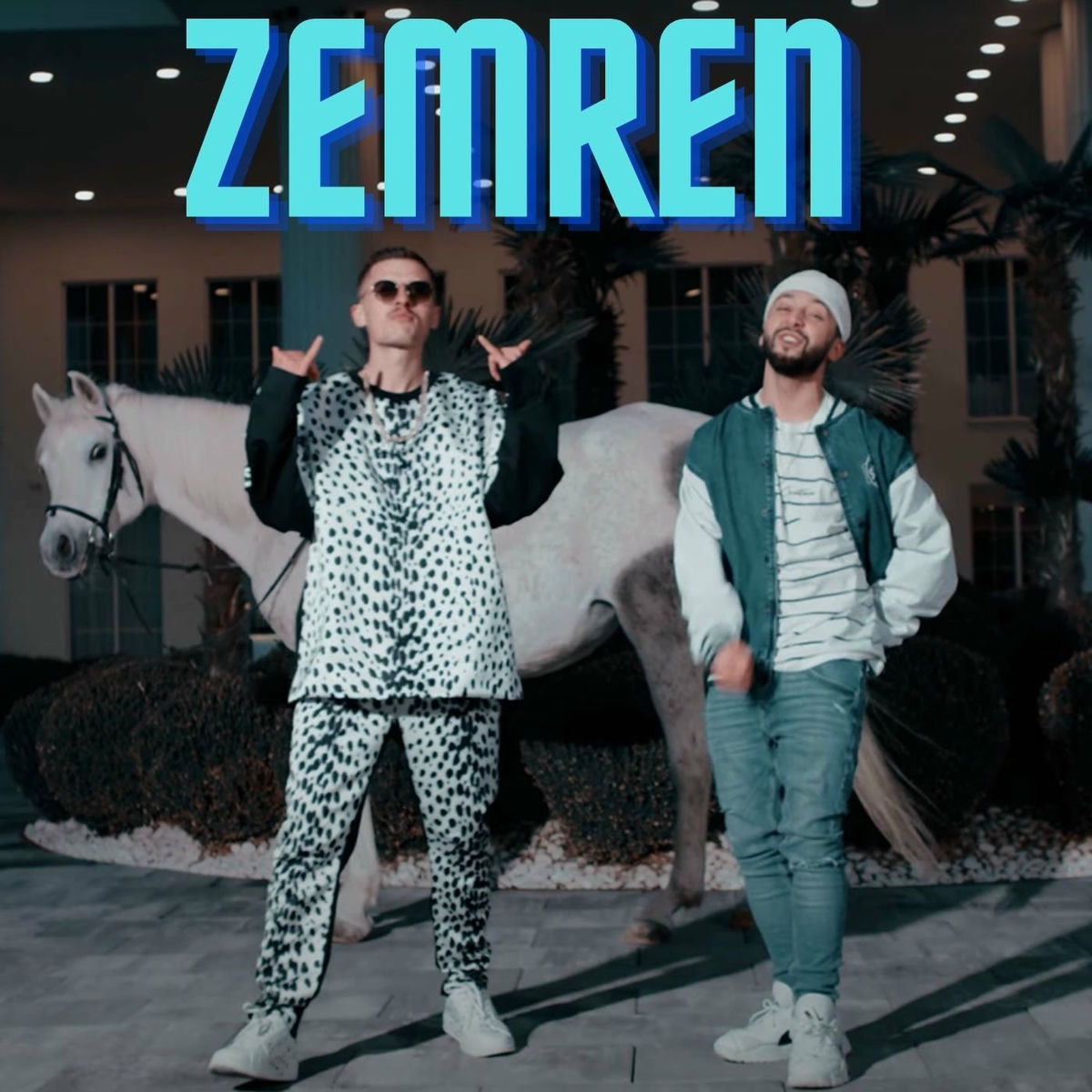 Album cover of Zemren
