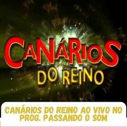 Cover of No Prog. Passando o Som (Ao Vivo)