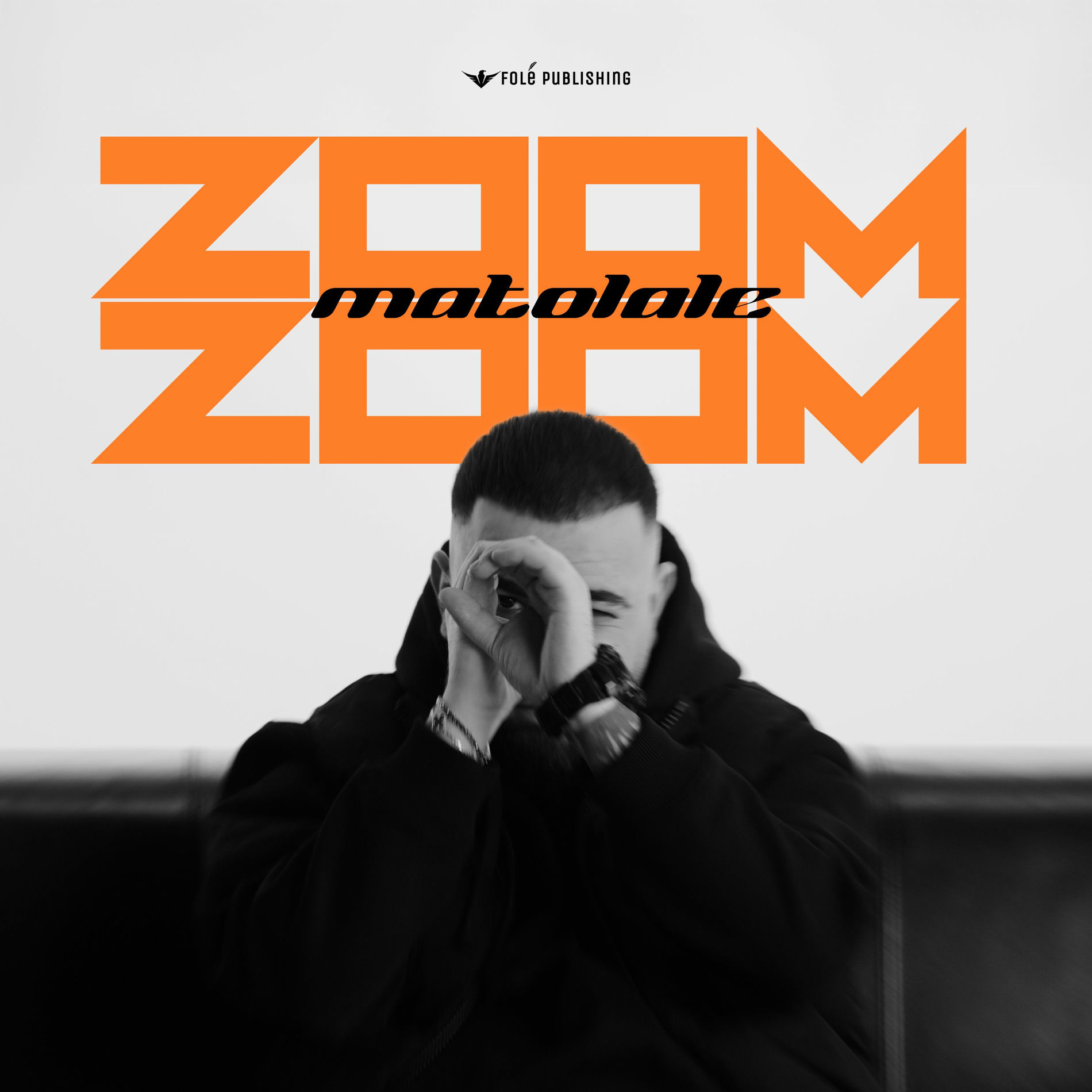 Album cover of Zoom Zoom