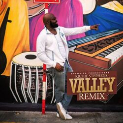 Cover of Valley (Remix)