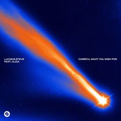 Cover of Careful What You Wish For (feat. Alida)