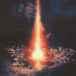 Cover of Return To One