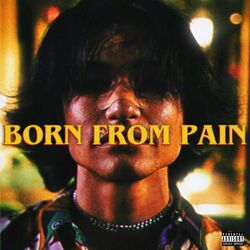 Cover of BORN FROM PAIN