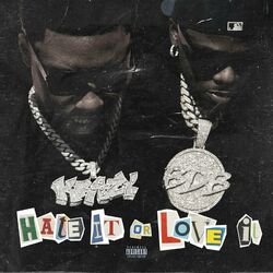 Cover of Hate It or Love It