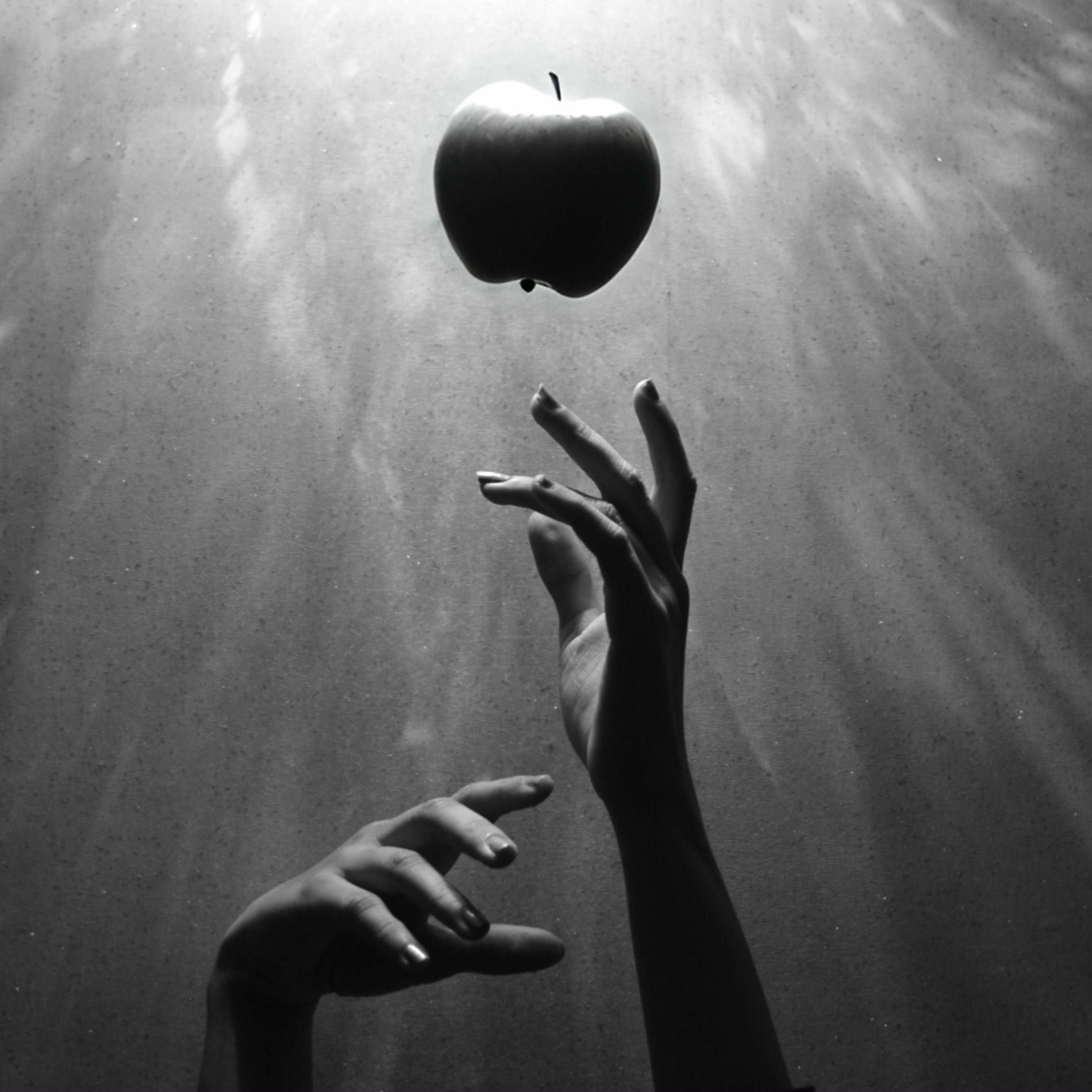 Album cover of forbidden fruit