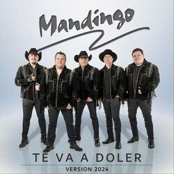 Cover of Te Va A Doler (Versión 2024)