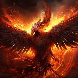 Cover of Phoenix
