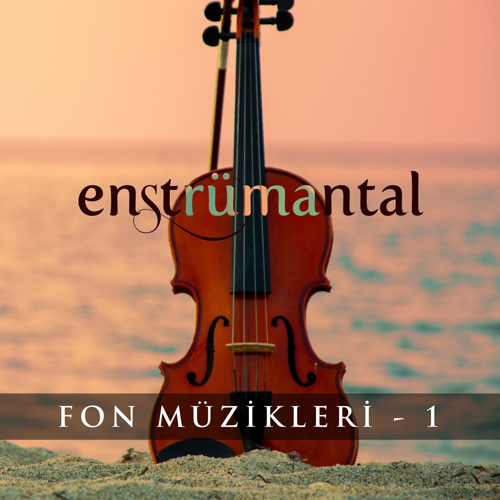 Album cover of Enstrümantal Fon Müzikleri 1