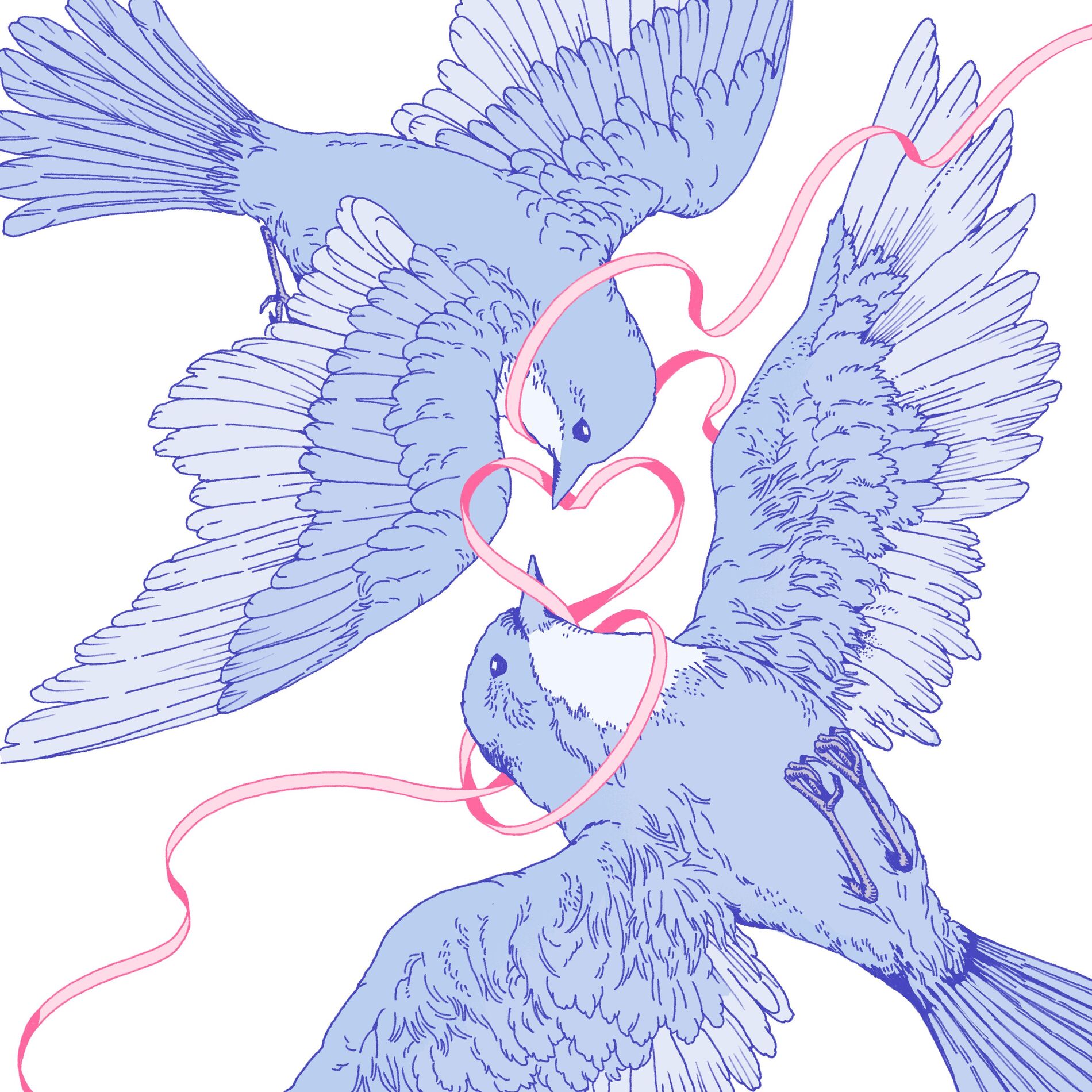 Album cover of Bluebird