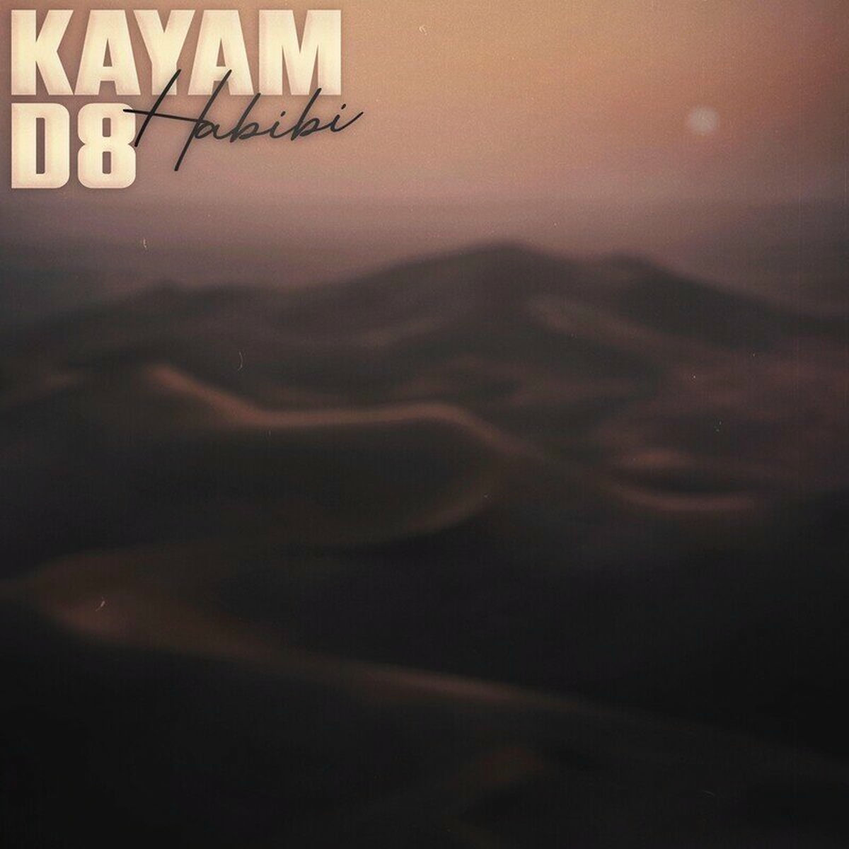 Album cover of Habibi (Remix)