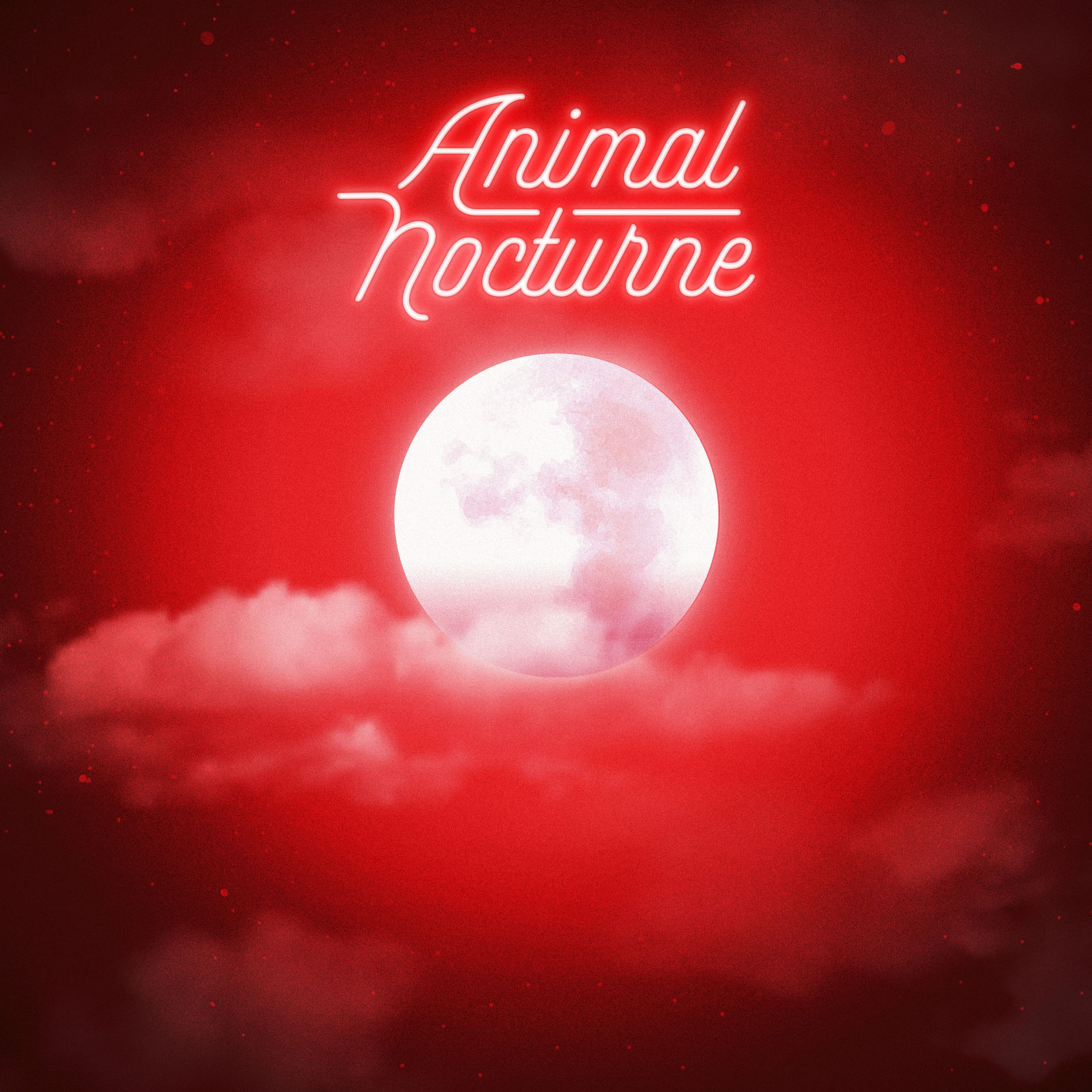 Album cover of Animal nocturne