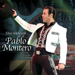 Cover of Una Noche Con (En Vivo)