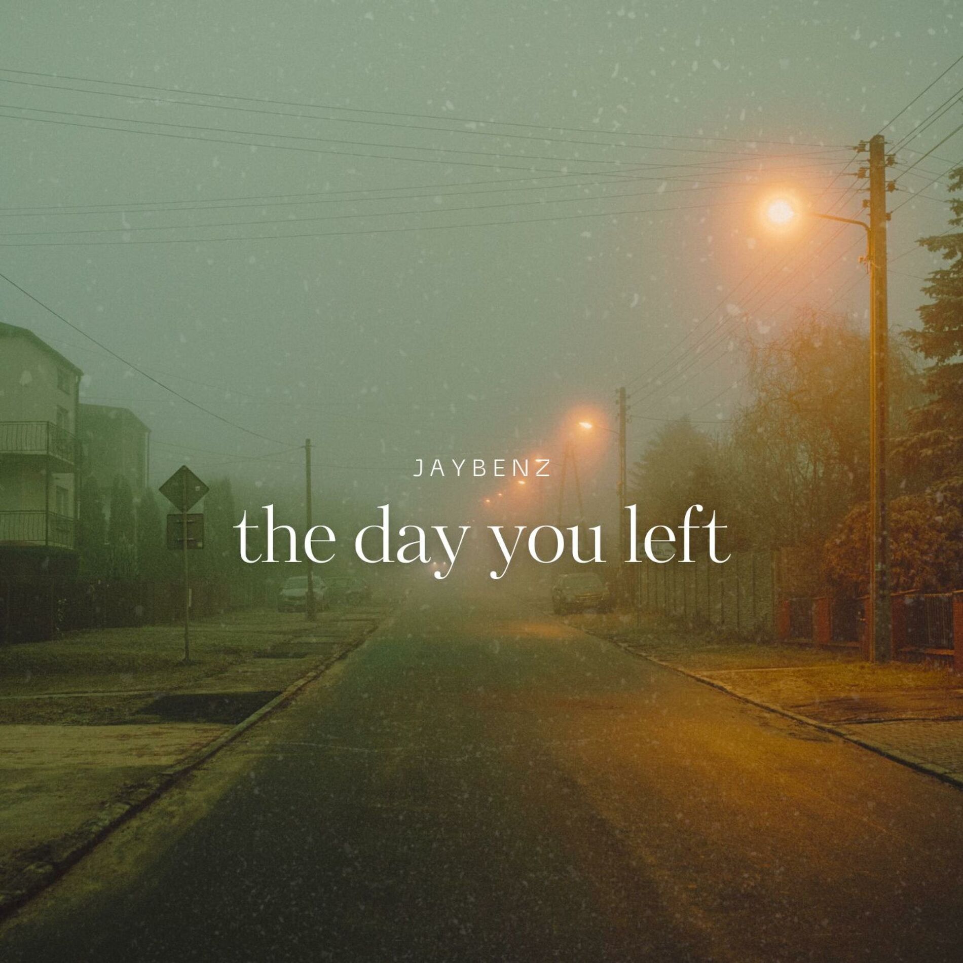 Album cover of the day you left
