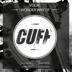 Cover of Wonder Why EP
