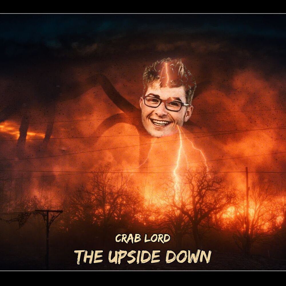 Picture of The Upside Down