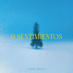 Cover of 0 Sentimientos