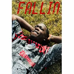 Cover of Fallin