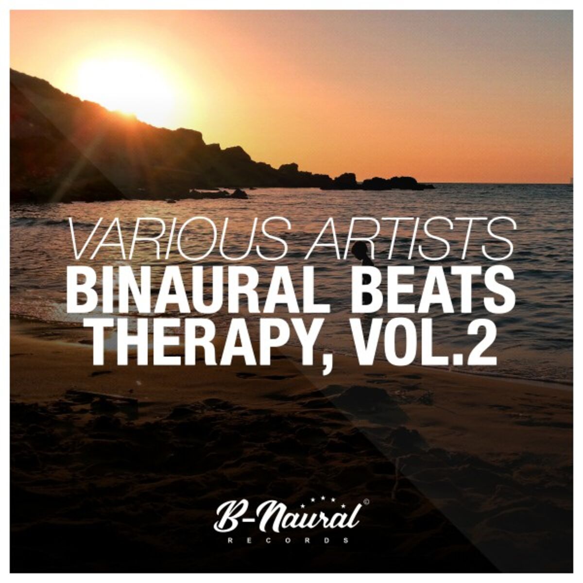 Album cover of Binaural Beats Therapy, Vol. 2