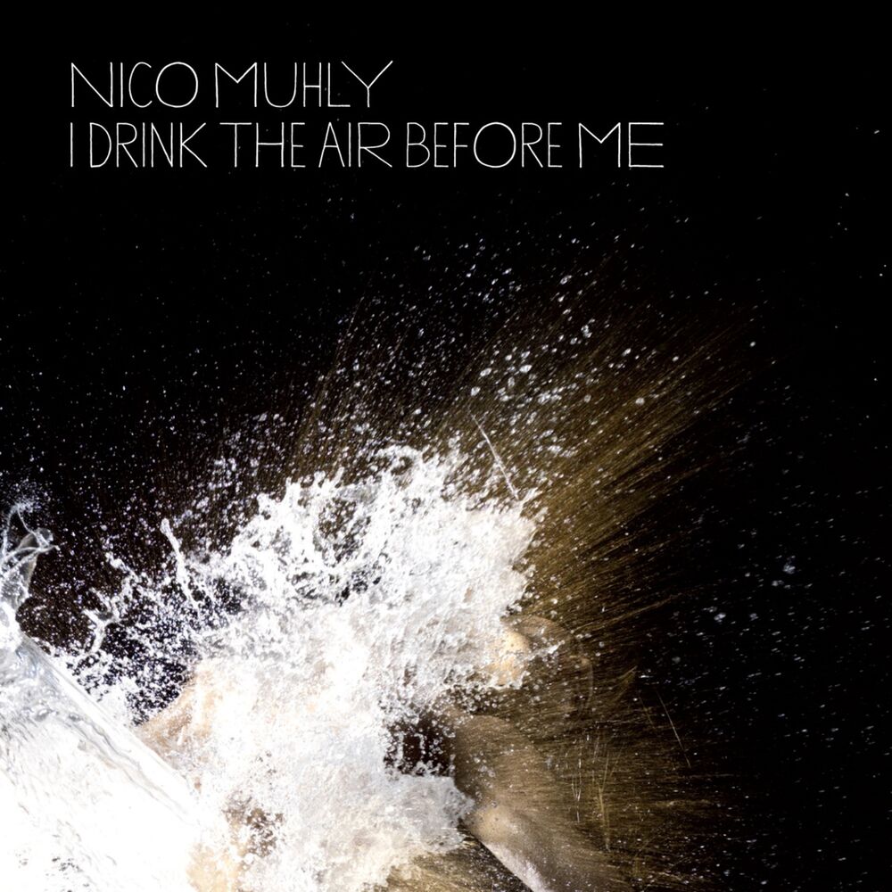 Picture of I Drink the Air Before Me