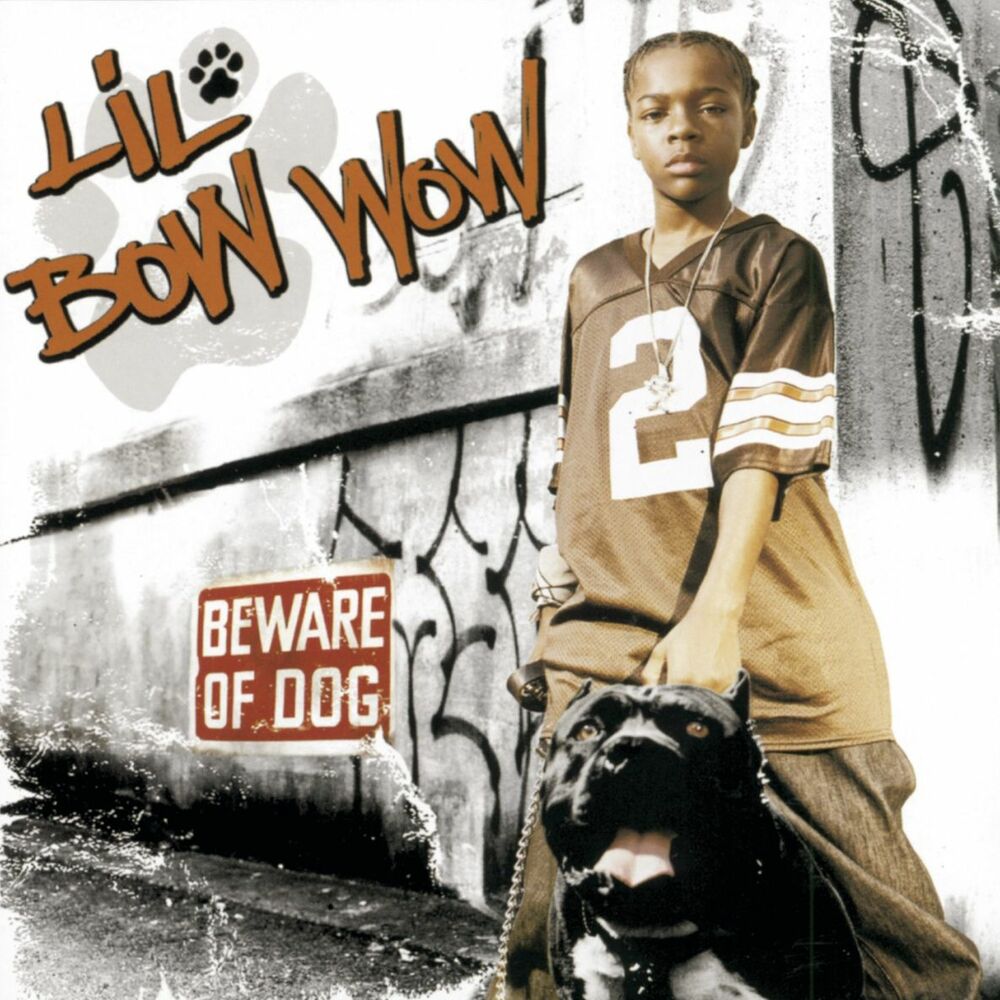 Picture of Beware Of Dog