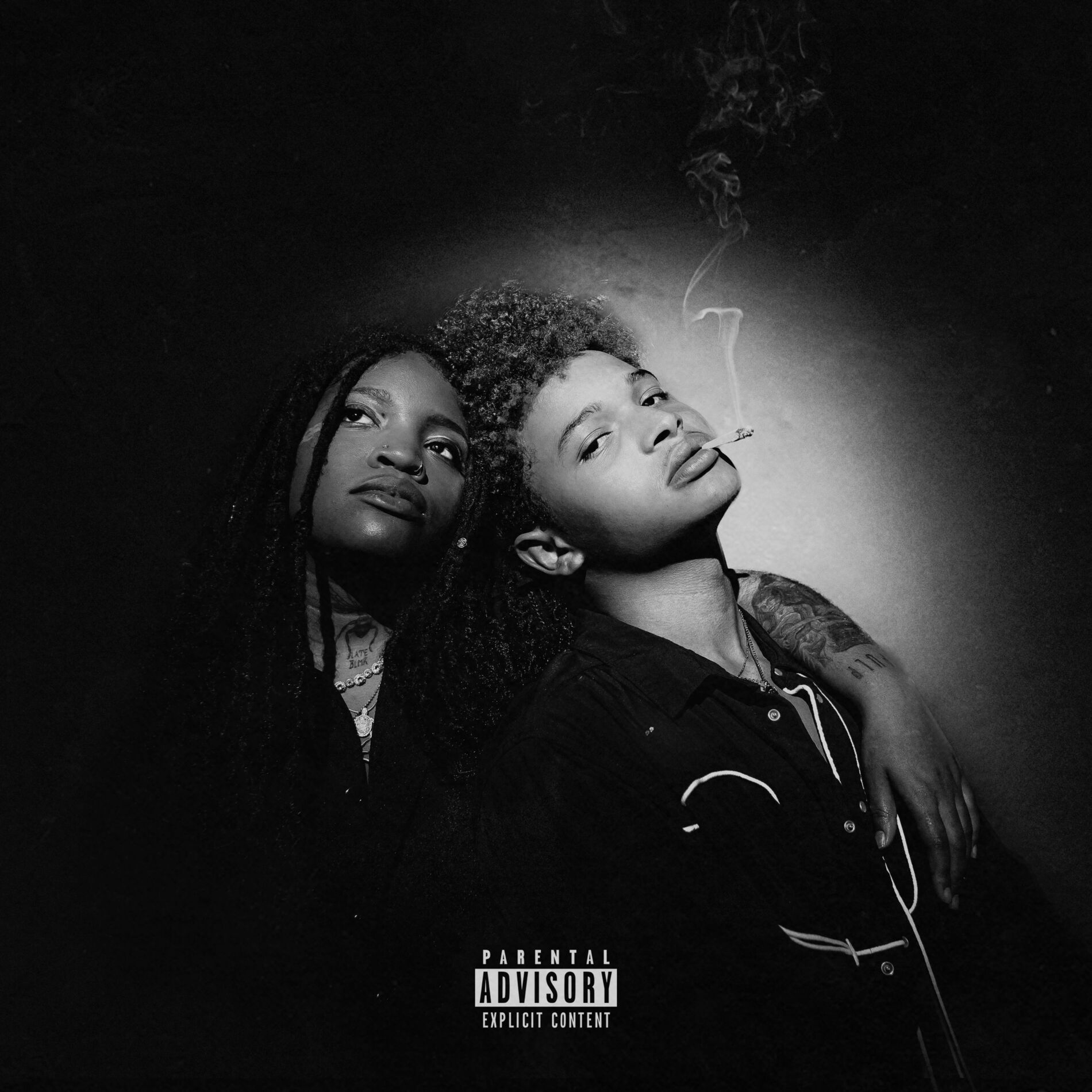 Album cover of FRAUD