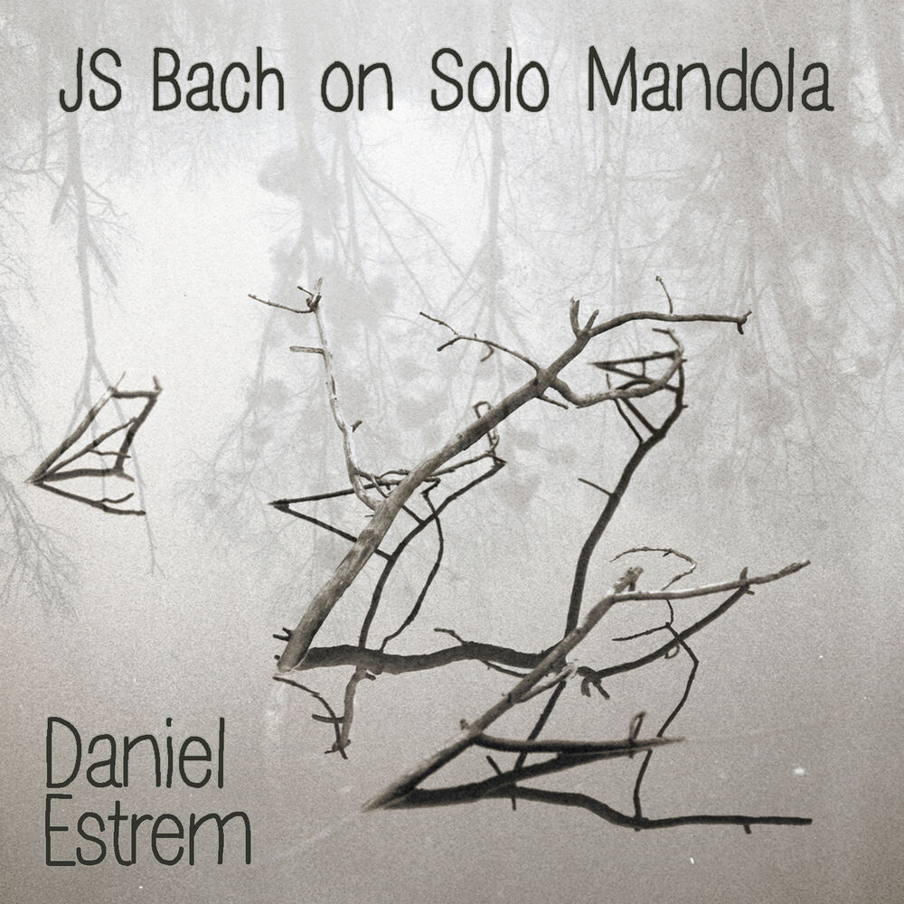 Picture of JS Bach on Solo Mandola