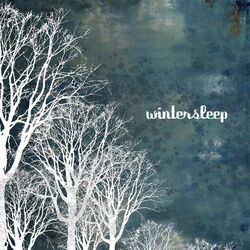 Cover of Wintersleep