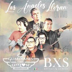 Cover of Los Ángeles Lloran (En Vivo)